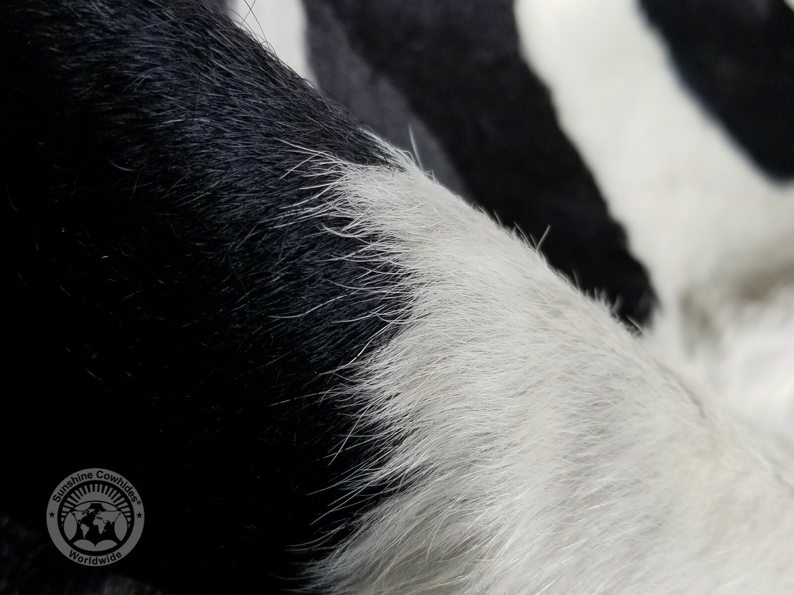 Black and White Genuine Cowhide Rug - Size 6x6-7’ - Top Quality