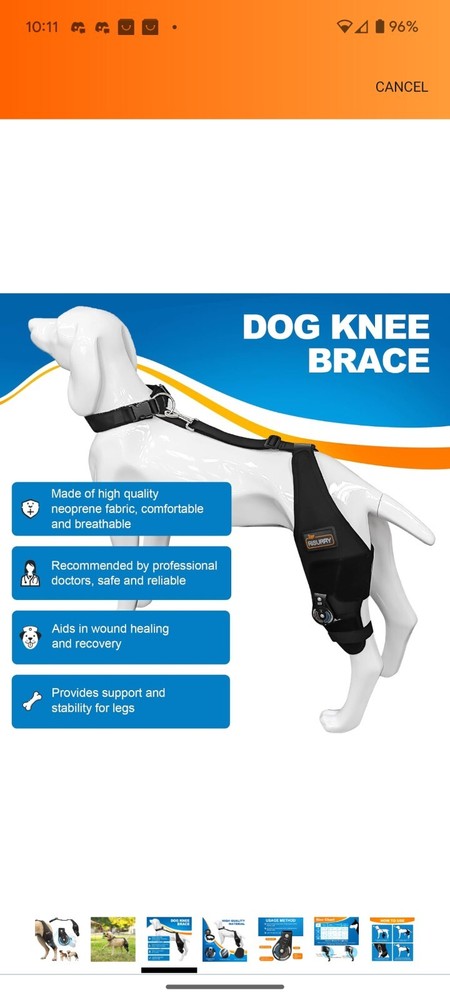CHAMIN/RISURRY Adjustable Dog Knee Brace with Extra Collar. Left Leg. Large