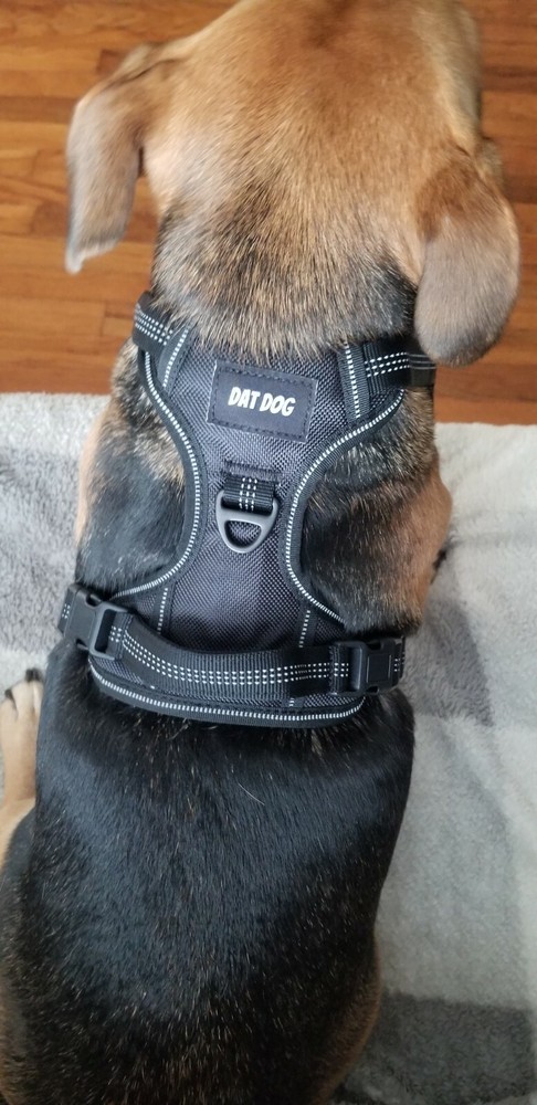 Dat Dog no-pull dog harnesses - reflective, comfortable, handle, Designed in USA