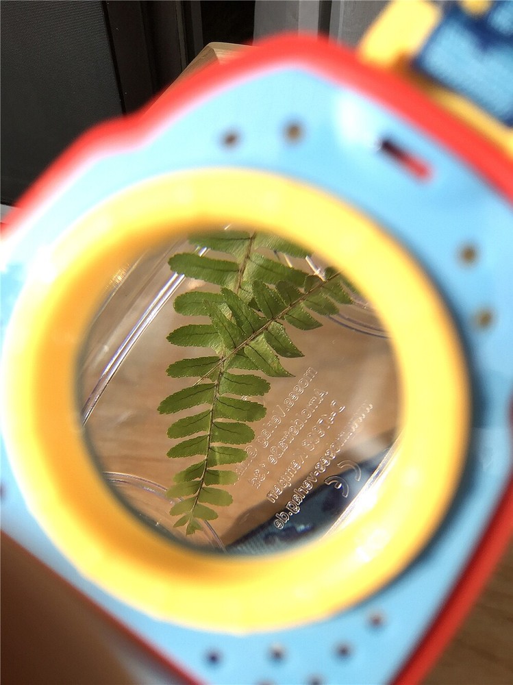 Insect Observation Viewer Transparent Bug Collection Case Children Exploration