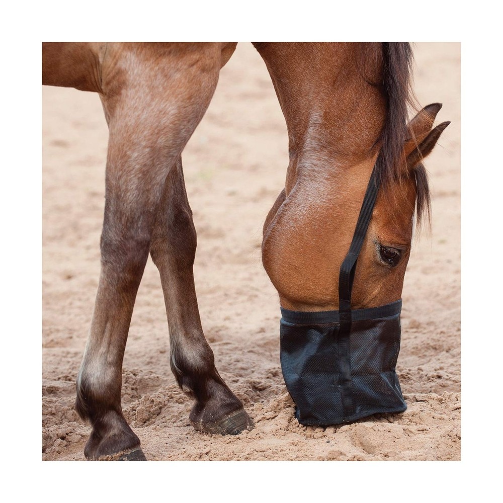 Cashel Feed Rite Bag, Black, Horse