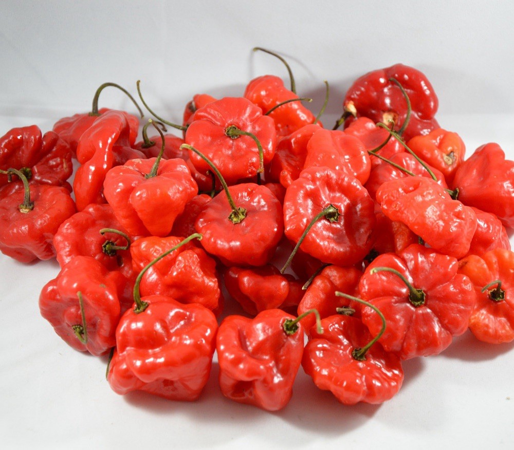 AJI DULCE (50) SEEDS