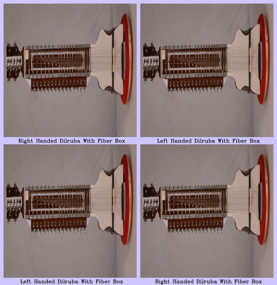 Professional High Quality Indian Classical Musical String Instrument Right Hande