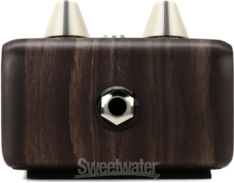 LR Baggs Align Delay Acoustic Delay Pedal