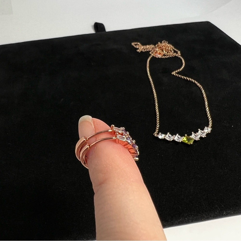 RBP necklace and earrings