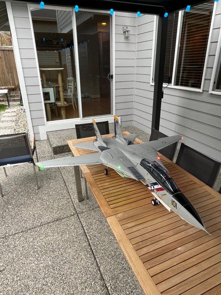 UPGRADED Freewing F-14 80mm edf