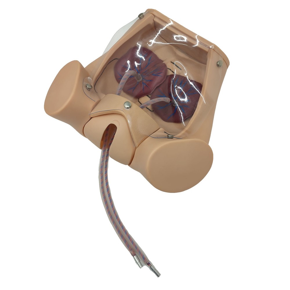 Female Childbirth Model Simulation Childbirth Comprehensive Skill Training Model