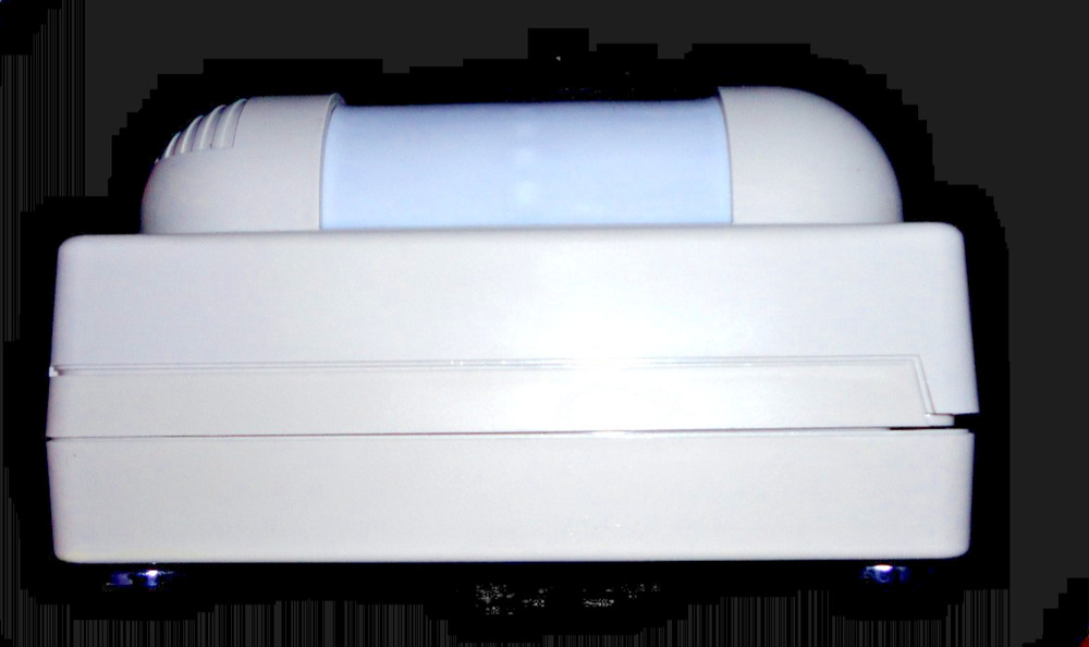 Tattletale Security / Dual-Detection Outdoor Motion Sensor