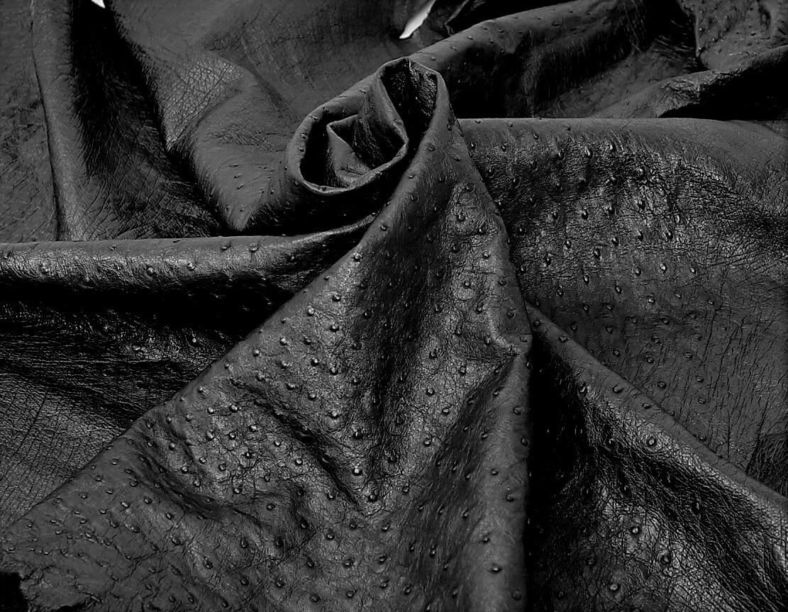 Ostrich Leather Hide, Black SF Color