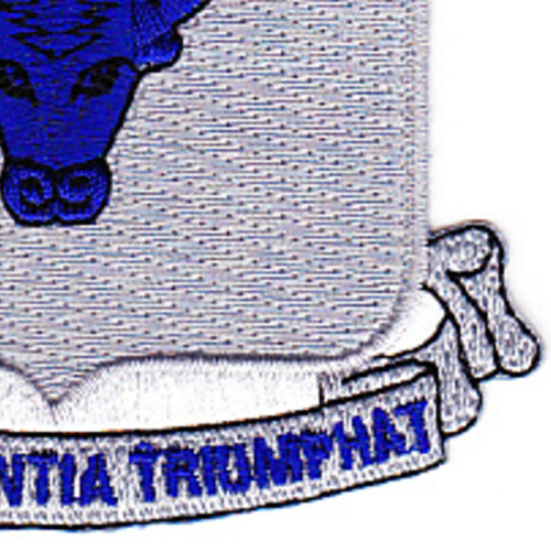 224th Infantry Regiment Patch