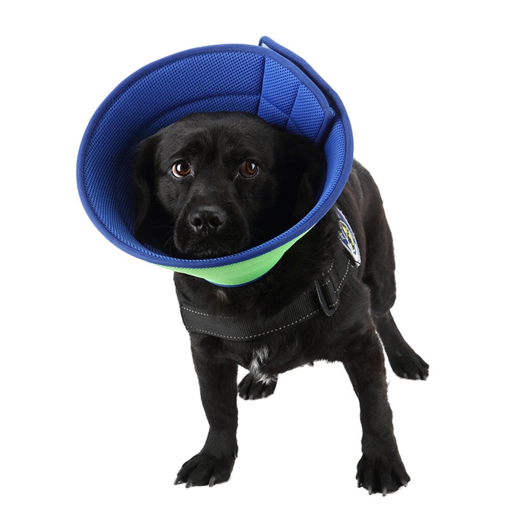 Pet Protective Collar Dog Cat Neck Cone Recovery Cone Collar for Anti-Bite Lick