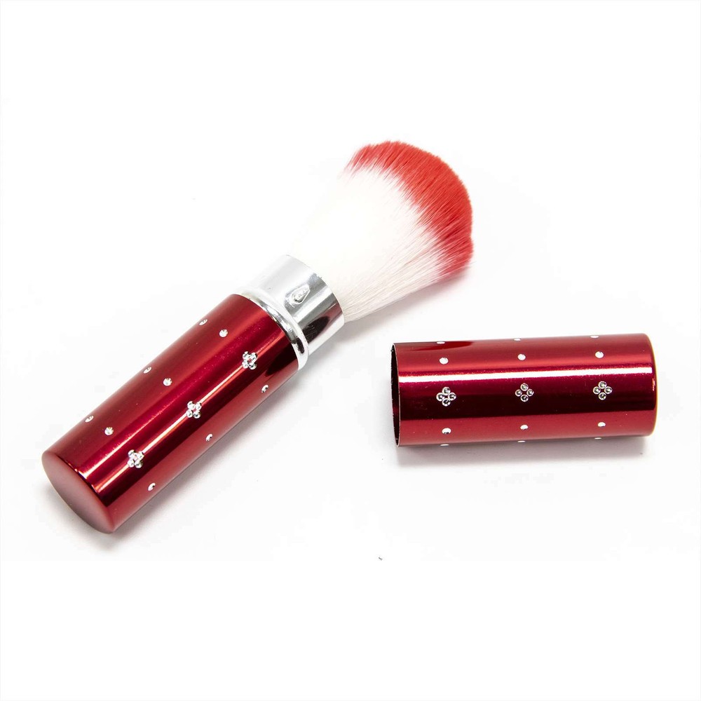 NEW Fe Make Up Blush Brush Applicator with Case