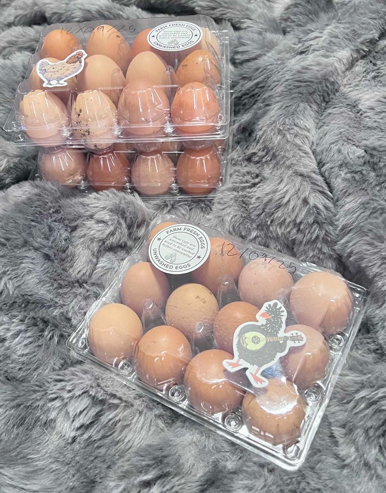 Barnyard Mix Hatching Eggs