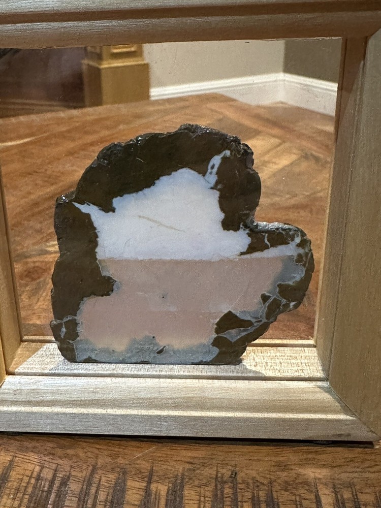 Oregon Thunder Egg Slice Polished Stone Framed 3” X 3”