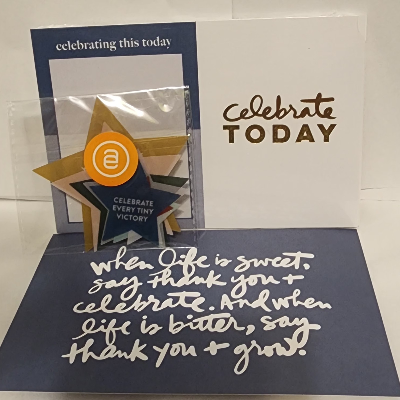 Ali Edwards 3x8 Album, Celebrate & Friends Story Embellishments Scrapbook Lot