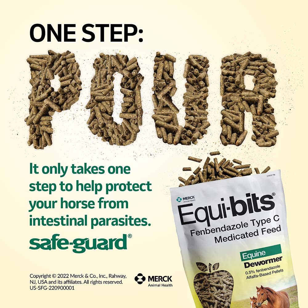 Safe-Guard Equi-Bits 1.25lb