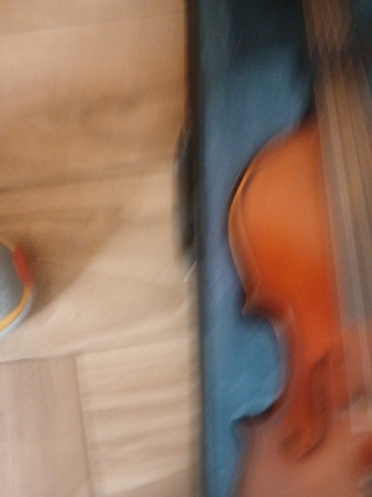 Violin 5 Strings Electronic And Acustic