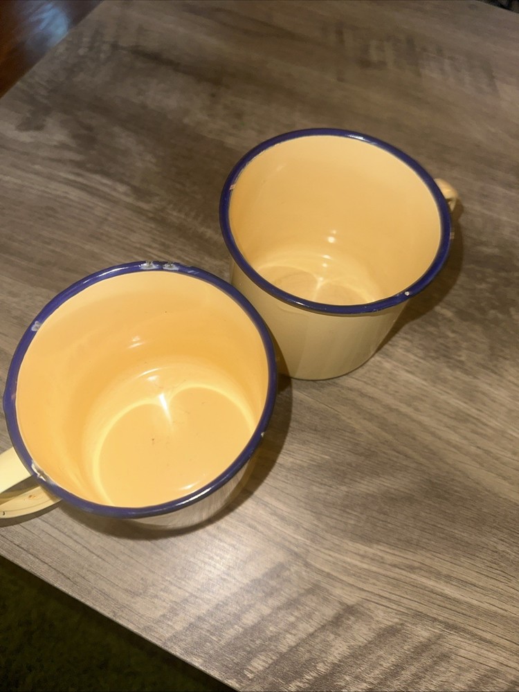 Pottery Barn Enamel Ware Camping Cups