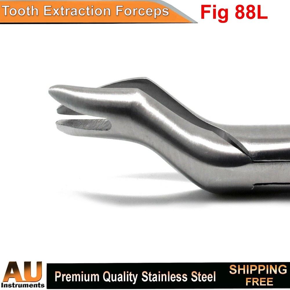 Surgical Fig 88L Dental Extraction Forceps Tooth Molar Extracting Instruments CE