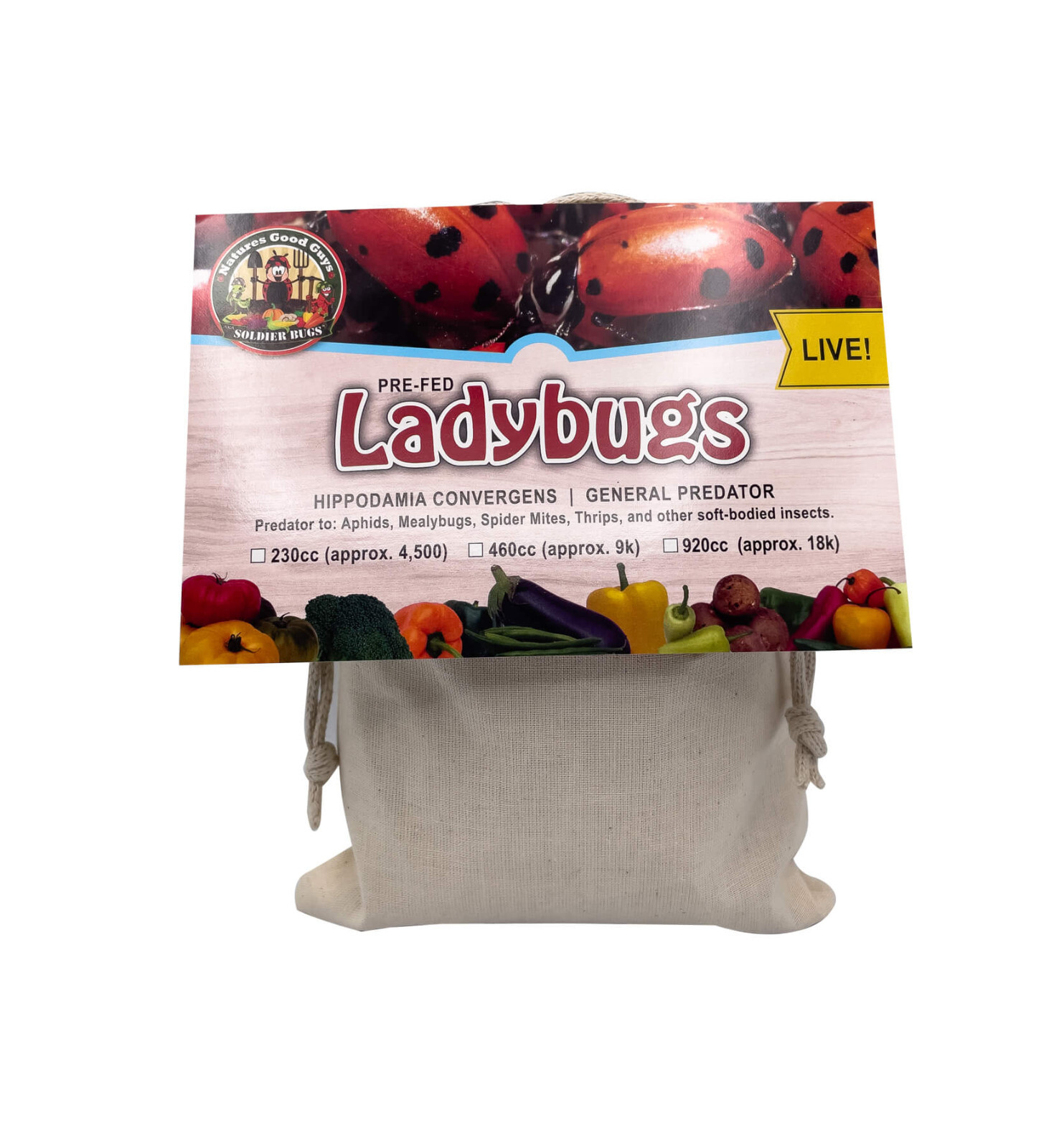 NaturesGoodGuys - Live Ladybugs - General predators