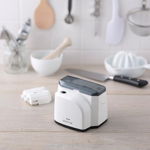 KAI One Stroke Sharpener SELECT100 AP-0133 From JAPAN