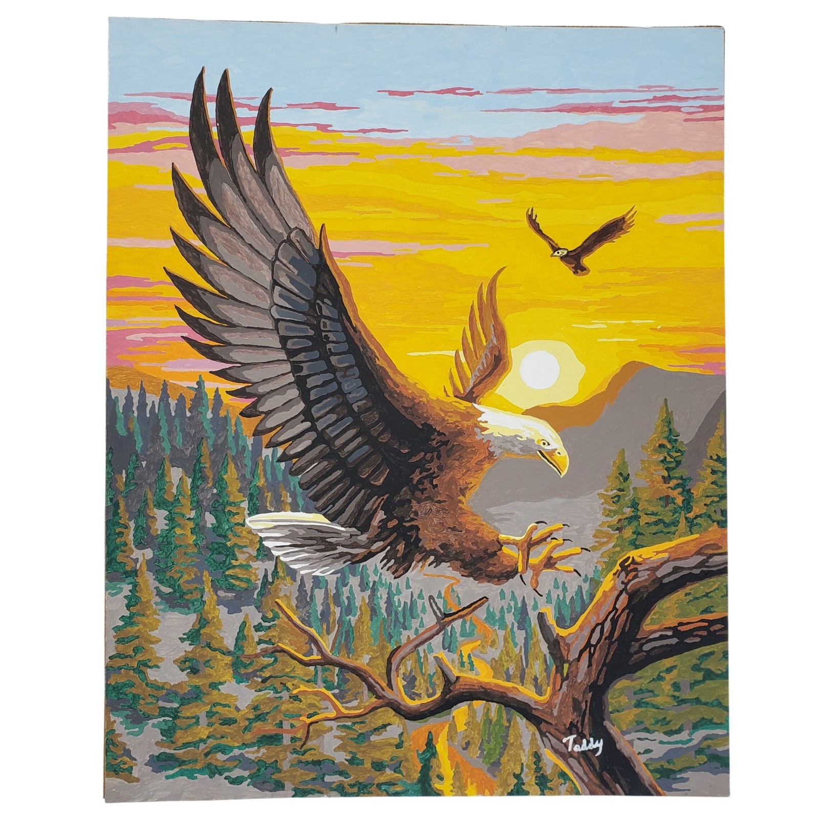 Vintage Bald Eagle Paint By Number Art Sunset Landscape Signed Teddy 16x20