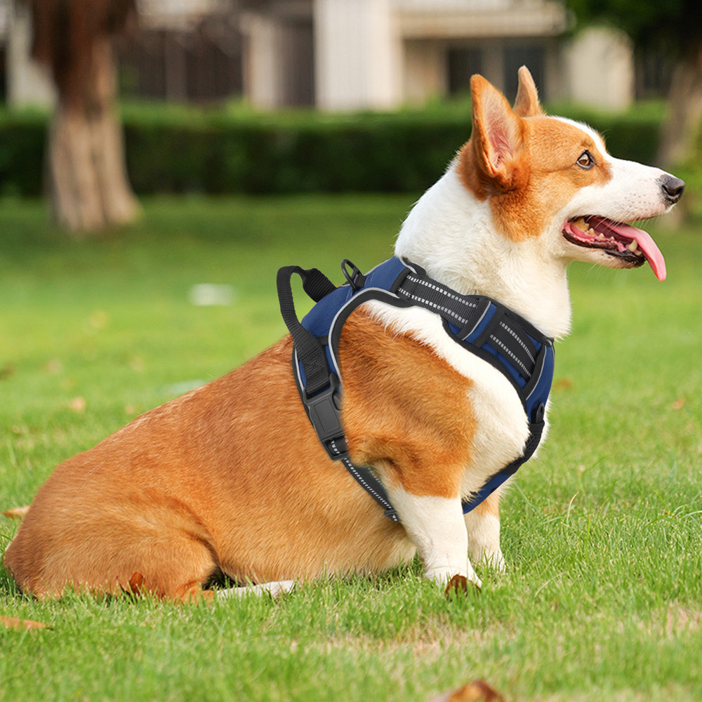 Padded Adjustable Control Pet Dog Harness Reflective Strips Navy Blue w/Handle