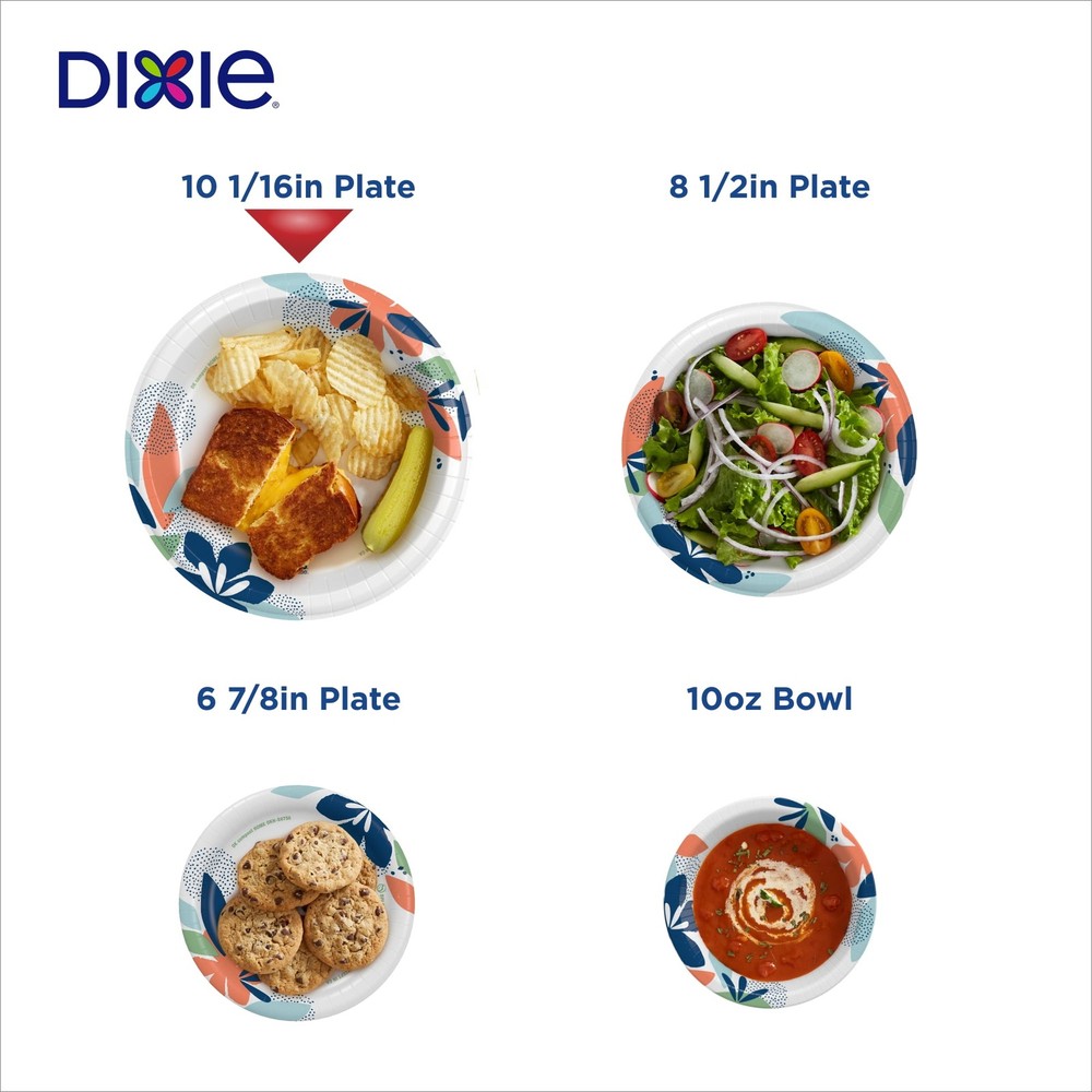 Dixie Everyday Disposable Paper Plates, 10", Multi-Color, 210 Count