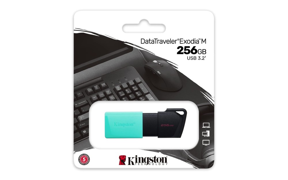 Kingston Data Traverler