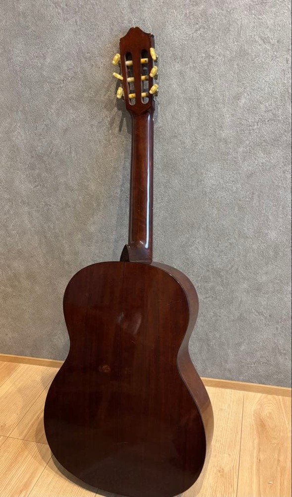 Morris Classical Guitar With Sabares Strings