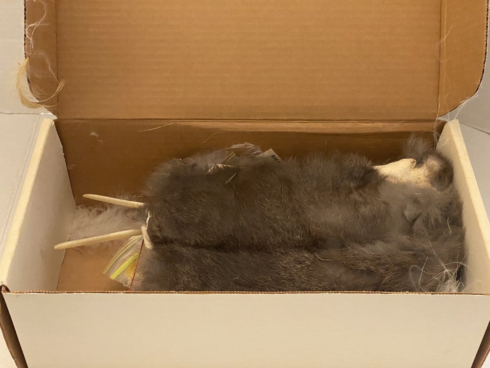 Vintage Orvis Fly Tying Kit