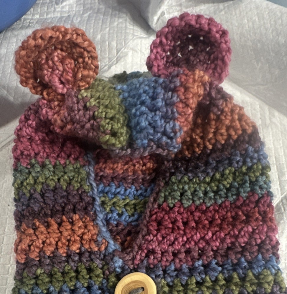 Handmade Multicolor Knit Hat with Bear Ears and Button Closure