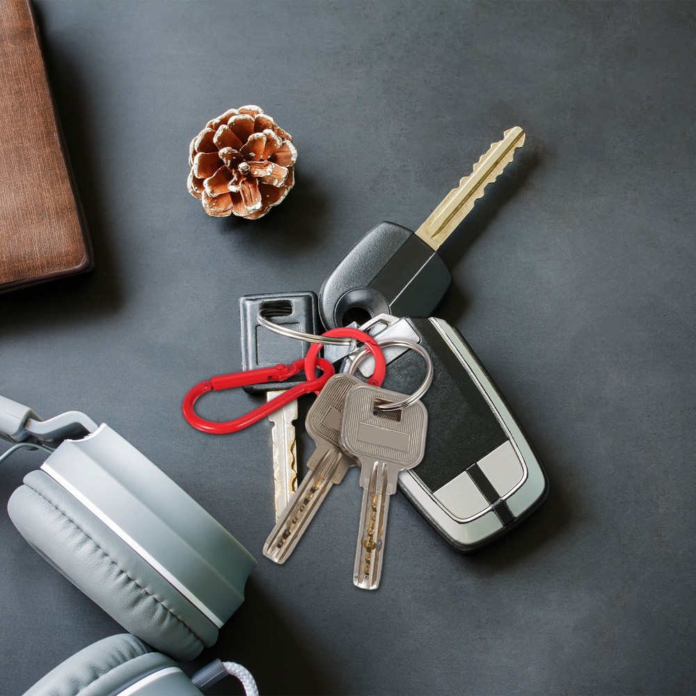 30 Pcs Small Keychain with O Ring, Black