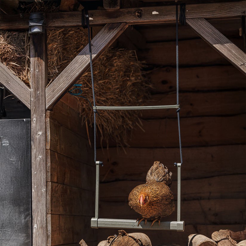 CHICKEN SWING 100% RECYCLED