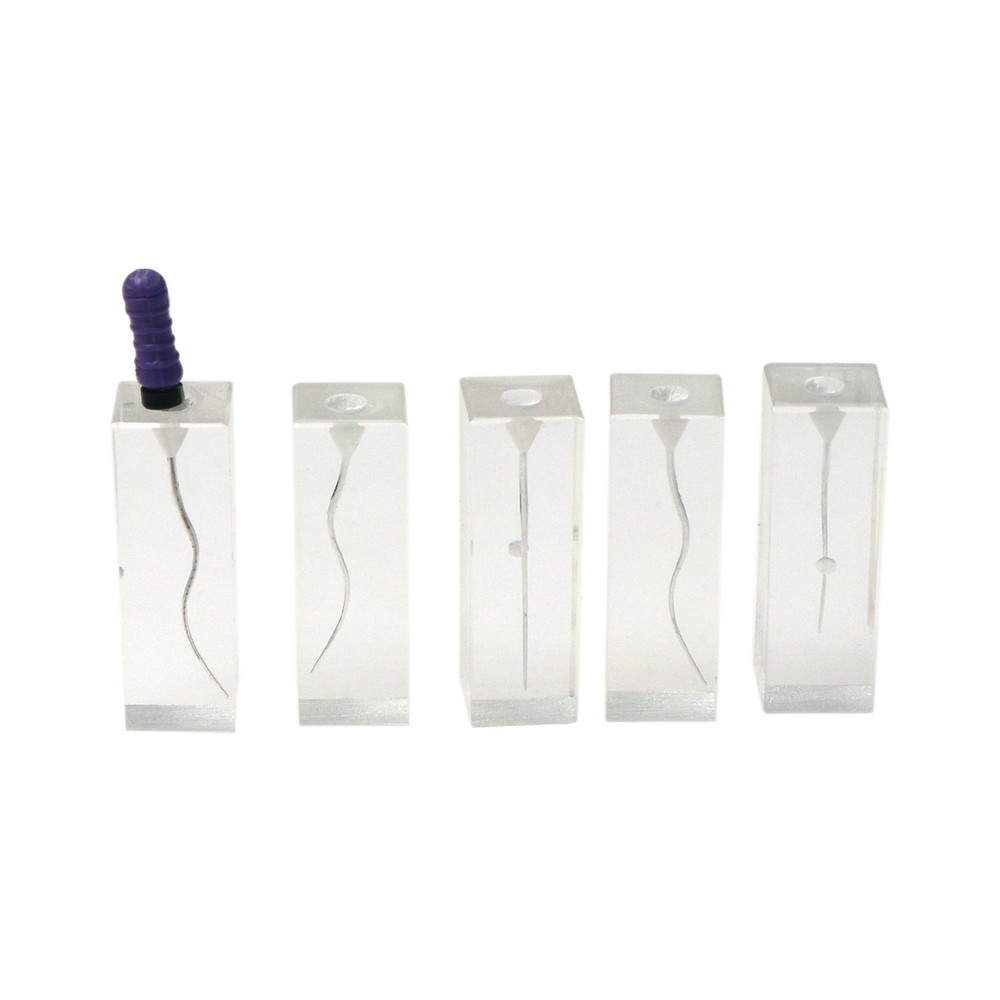 10Pcs Dental Endodontic Study Practice Operation Tooth Model Clear Root Canals