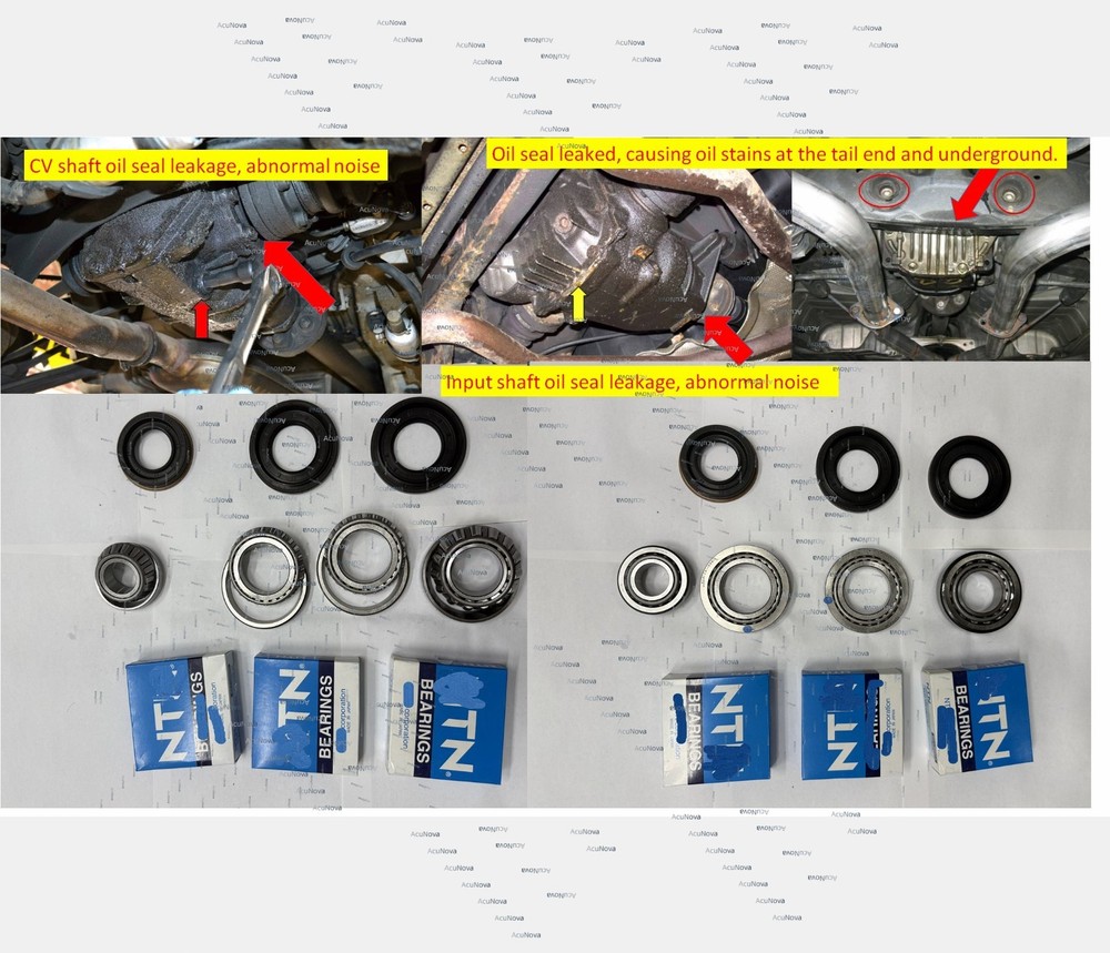 1663504214 1663502300 1663502614 1663503800 1663502714 REAR Diff Repair Kit