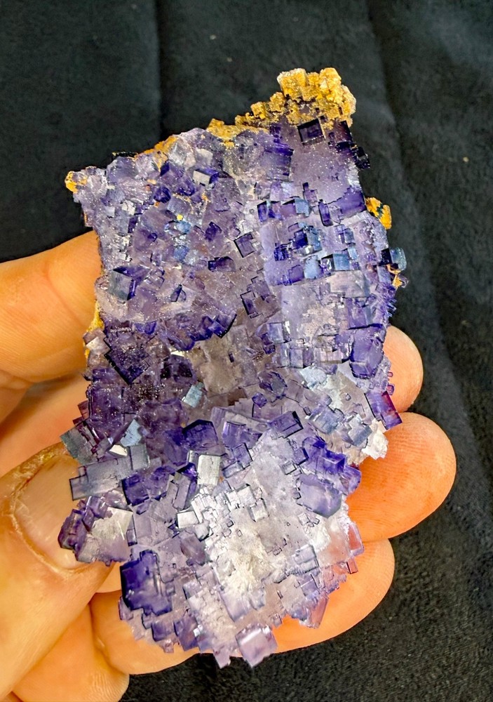Conversation Crystals - Fluorite