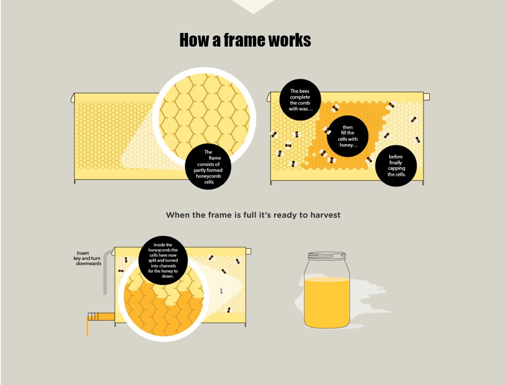 7 x Auto Beehive Beekeeping Frames Beehive Frame BPA free Plastic Beehive Frames