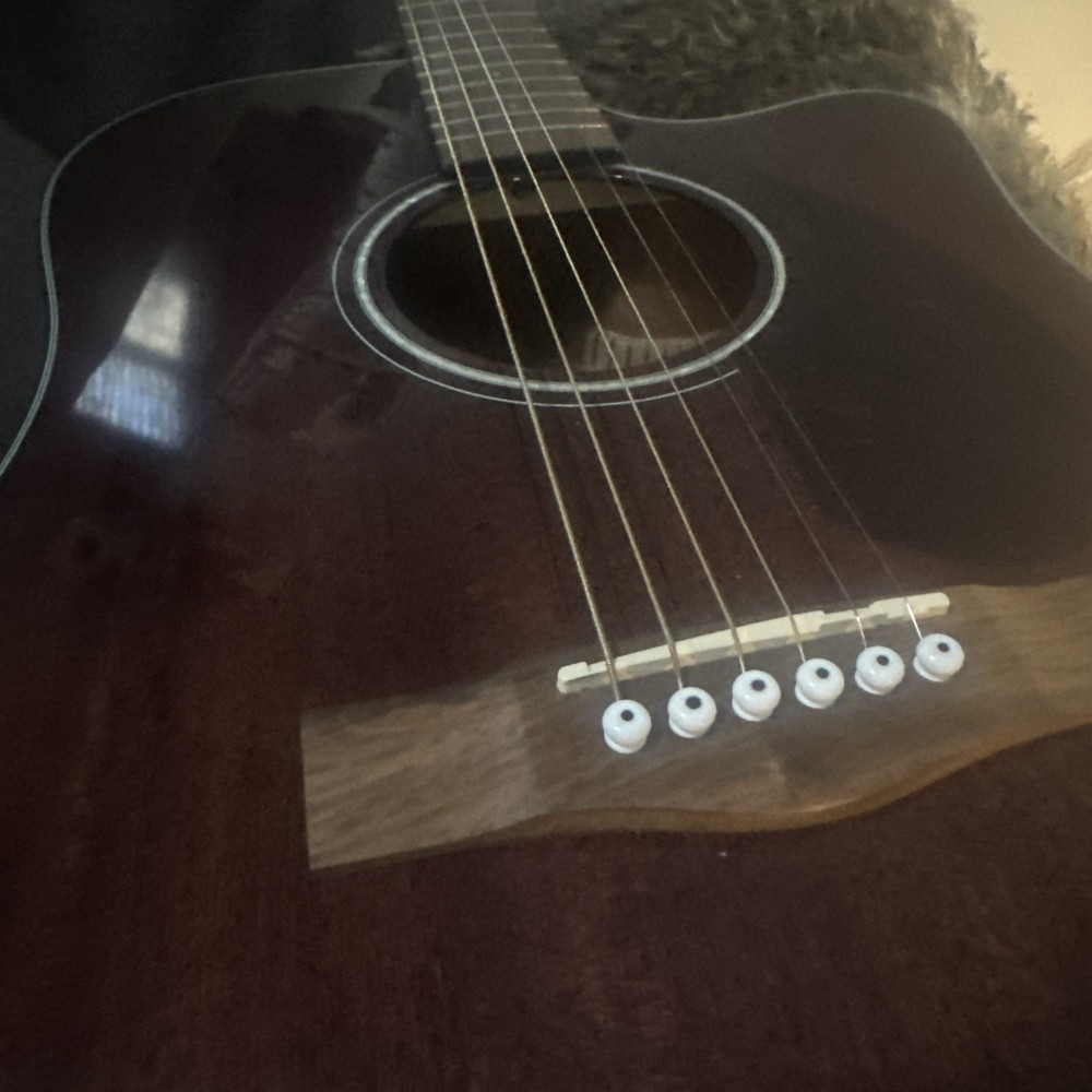 Fender Acoustic Guitar COMES WITH HARDSHELL CASE