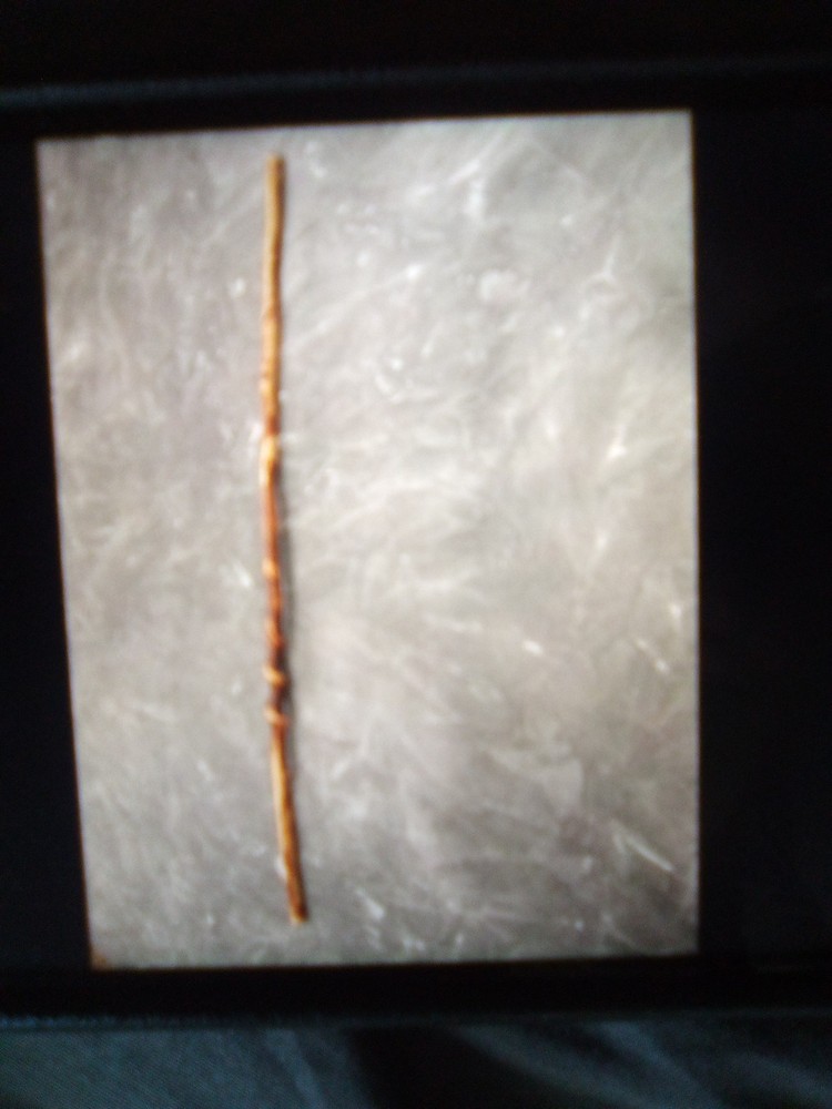 Curly Wands
