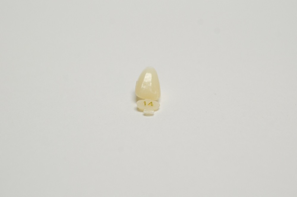 DENTAL POLYCARBONATE TEMPORARY CROWNS #14 (URC) UPPER RIGHT CENTRAL 5/PACK