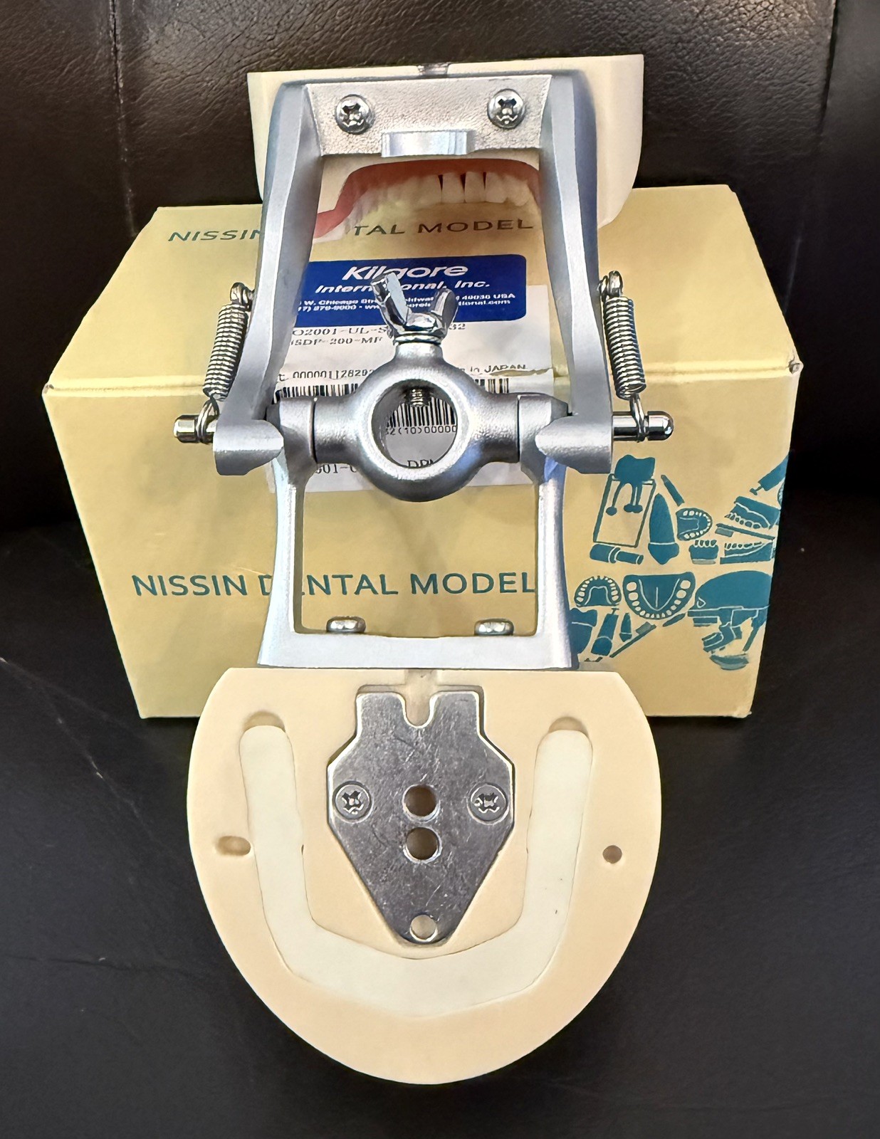 NISSIN PRO2001-UL-UP-DPM-32 Dental Model Kilgore Typodont Teeth