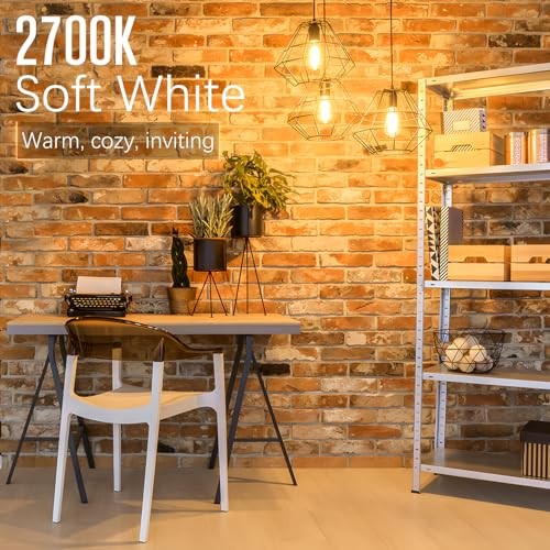 LED Edison Bulbs Dimmable, E26 Bulb 60 watt Equivalent 10 Pack Soft White