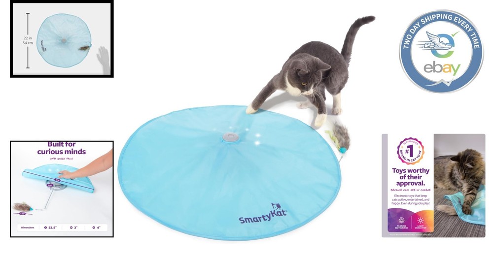 Interactive Electronic Motion Toy for Cats - A Fun Indoor Exercise Experience