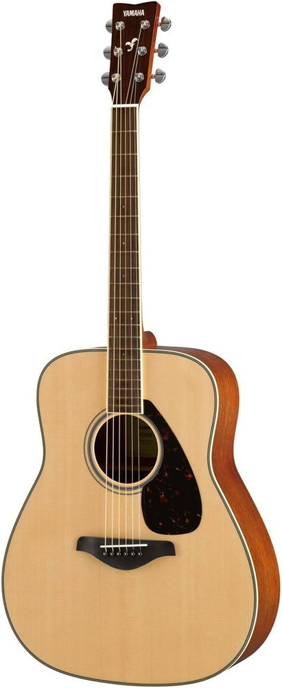 FG820 Solid Top Acoustic Guitar, Natural, Dreadnought