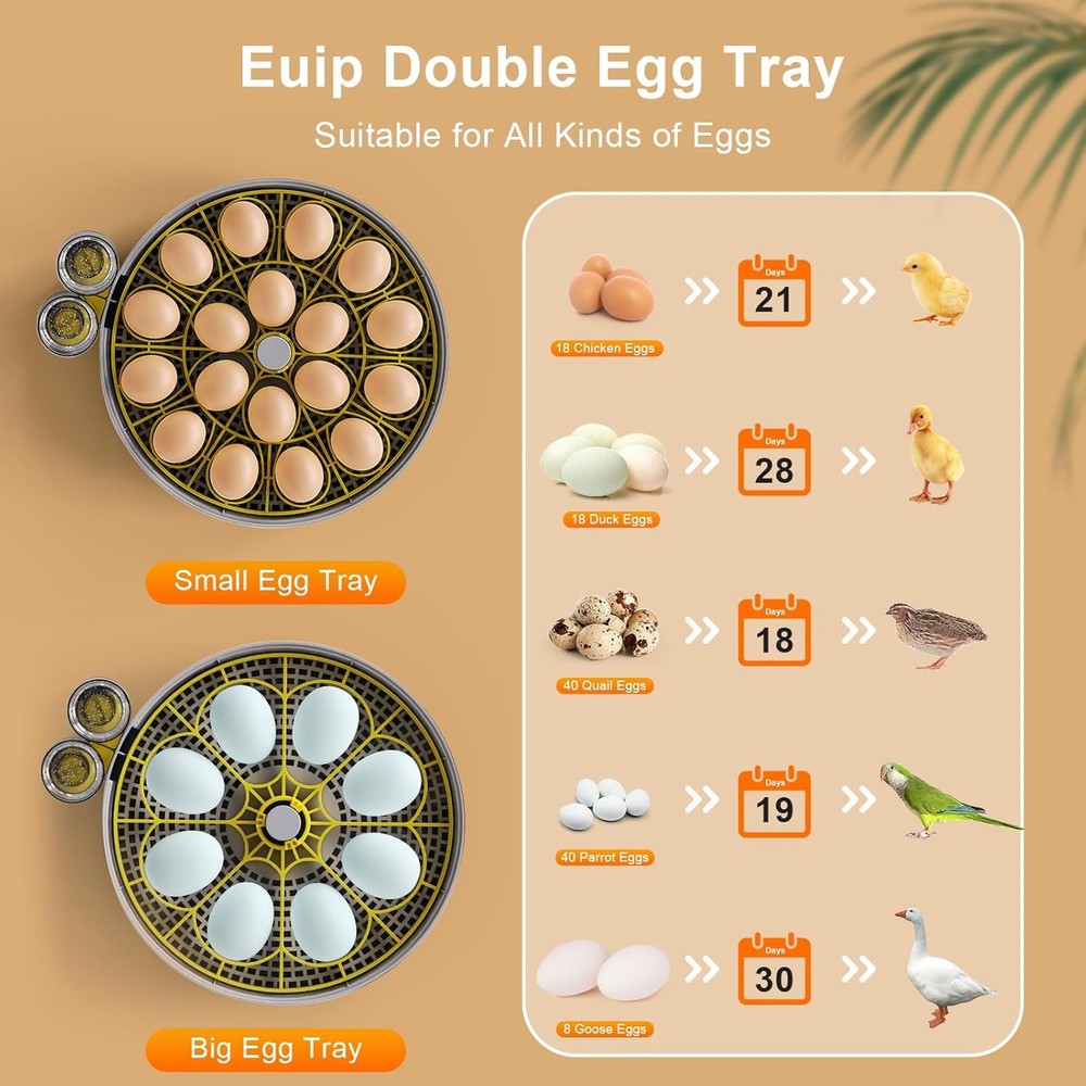 Incubator for Hatching Eggs-18 Egg Capacity, Automatic Egg Turner, Temperature &
