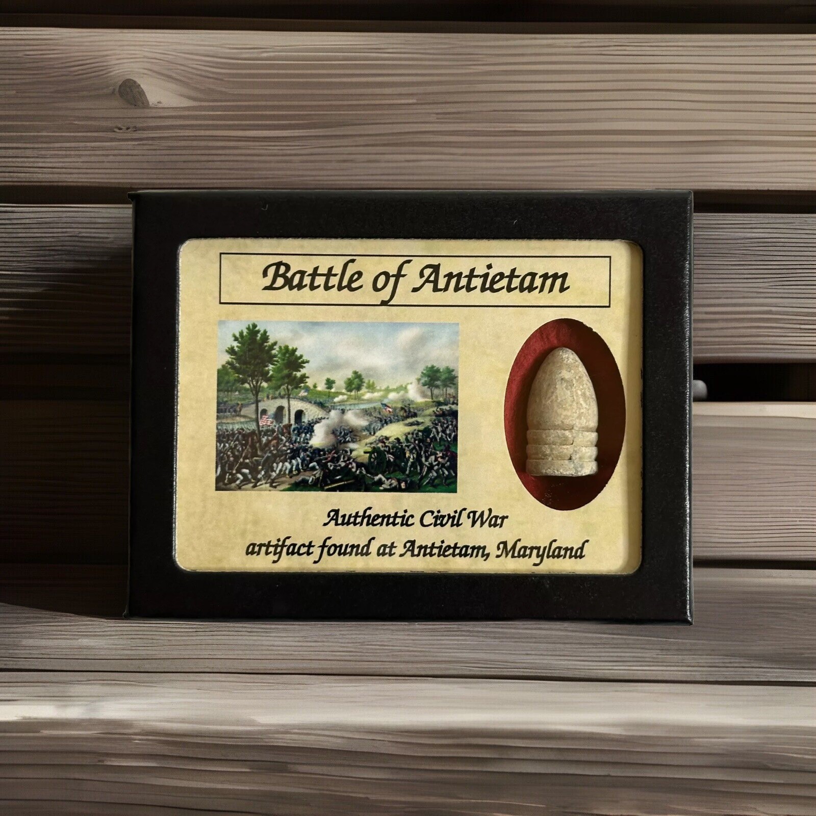 Civil War Bullet Relic from The Battle of Antietam, MD with Display Case,Color!