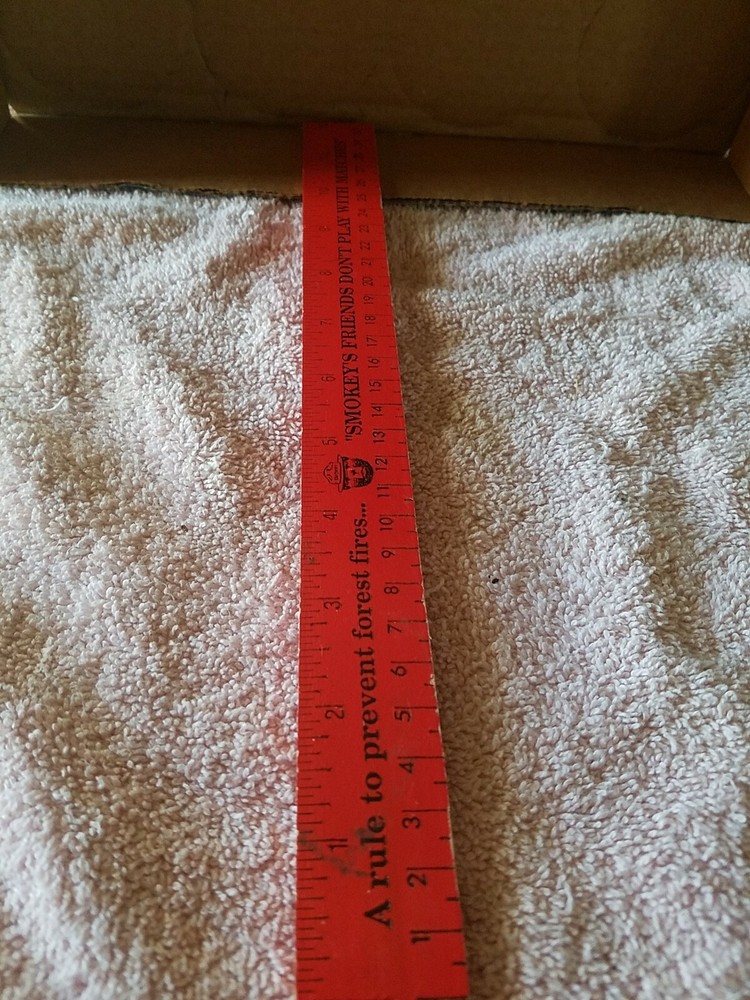Smokey The Bear 12" Ruler
