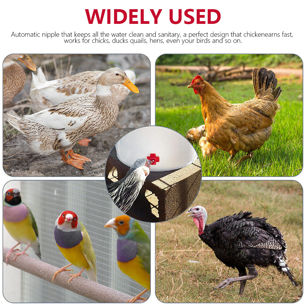 24PCS Automatic Chicken Water Drinker Nipple Cup Waterer Kit for Poultry Rooster