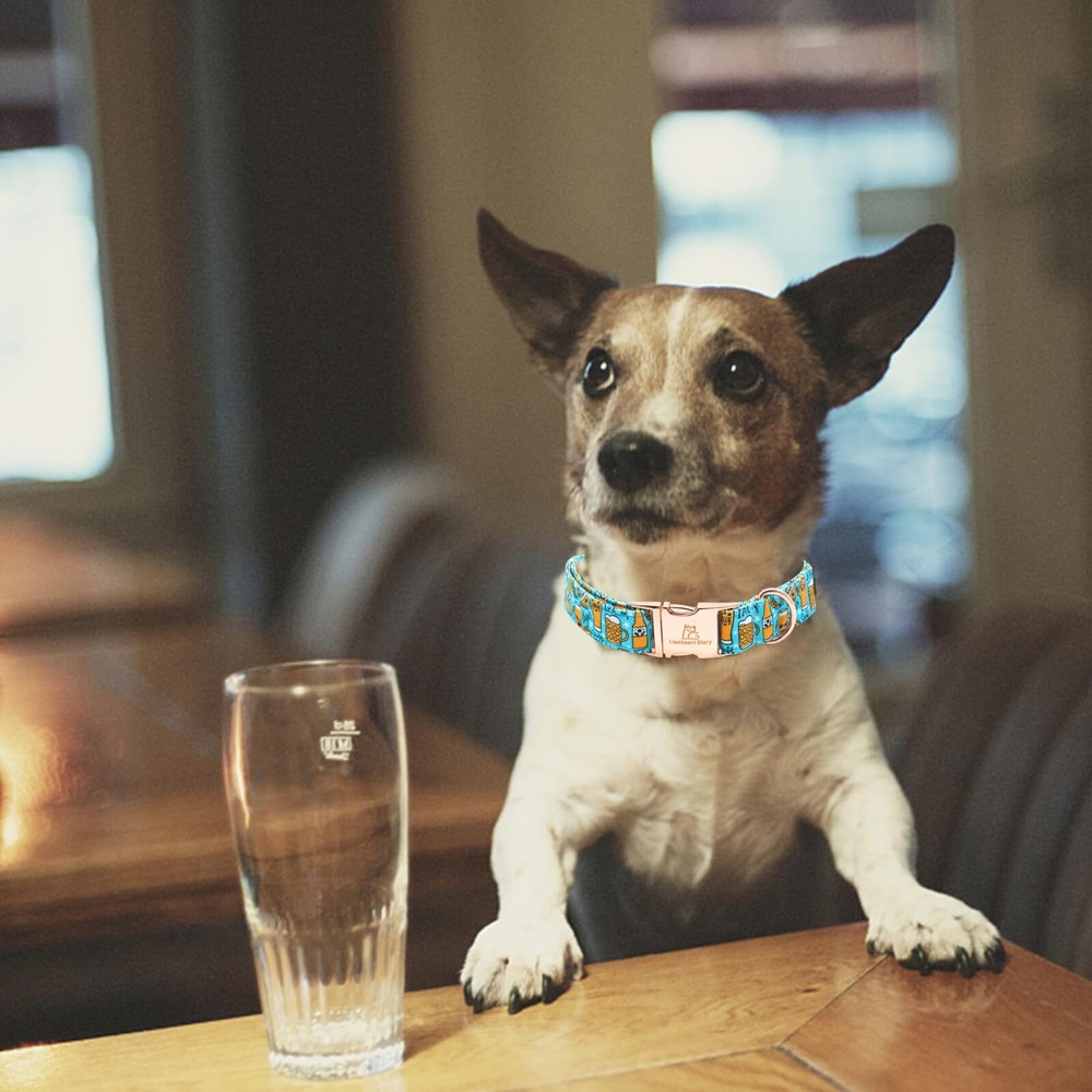 Blue Summer Party Collar - Soft Durable Adjustable for Medium Dogs